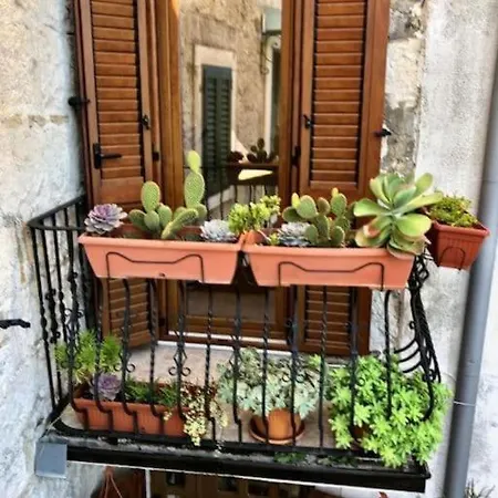 House In Varos بيت للعطل سبليت
